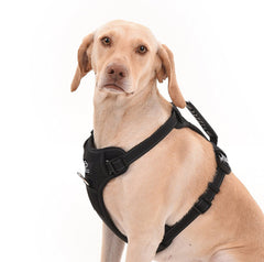 Heavy Duty Dog Harness